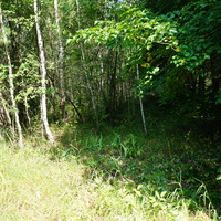 Территория бывших воинских частей