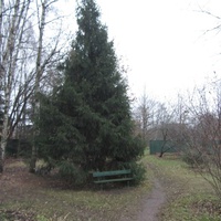 Парк при музее Достоевского Ф.М.