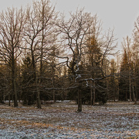 Александровский парк