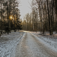 Александровский парк