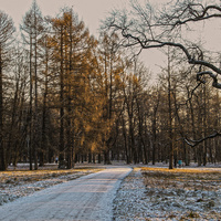 Александровский парк