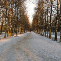 Александровский парк