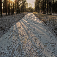 Александровский парк