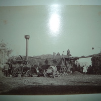 Обмолот хлеба в селе Сагарывка 1915г