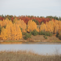 Осенью 2014г. на Каргаловском водохранилище.