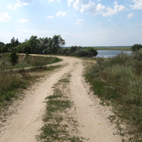 Дорога на ставок