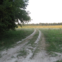 За сельмагом