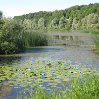 Вид на обрыв.