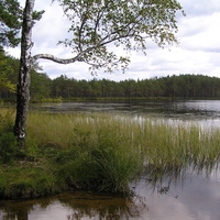озеро Остреченок  - 5 км от д. Озеревичи