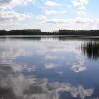 озеро Боруй - 0,5 км от д. Озеревичи