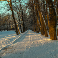 Аллея в парке