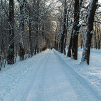 Дорожка в парке