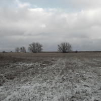 поле зимой