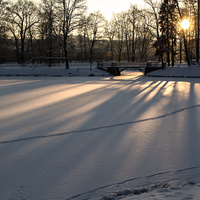 Замерзший пруд