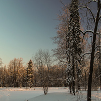 Александровский парк