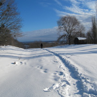 Дорога к реке.