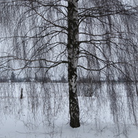 Вдалеке Сутков.