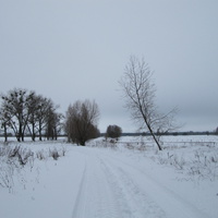 Дорога на Мохов.