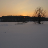 Вид на парк с реки.