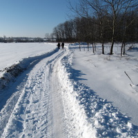 Зимняя дорога.