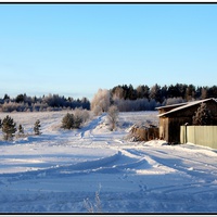 Дорога в лес.