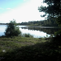 Озеро в лесу. Д.Зашишевье
