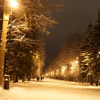 Приморский парк Победы.