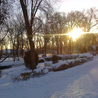 Зимнее утро в парке.