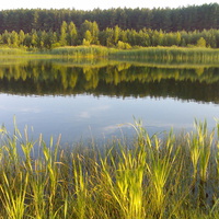 Родниковое озеро Клепачи-Пески