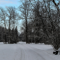 Павловский парк