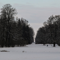 Павловский парк