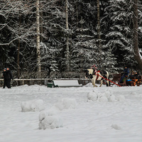В Павловском парке