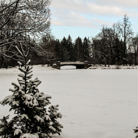 Верхний Розовопавильонный пруд