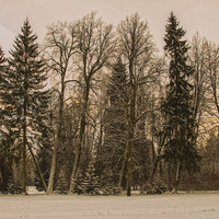 Павловский парк