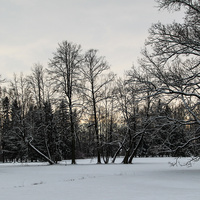 Павловский парк