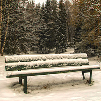 В Павловском парке