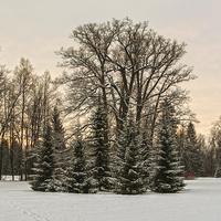 Павловский парк