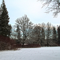 Павловский парк