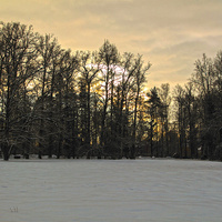 Павловский парк