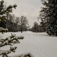 Павловский парк