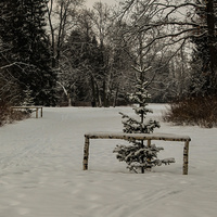 Павловский парк