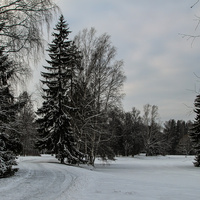 Павловский парк