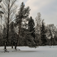 Средний Розовопавильонный пруд