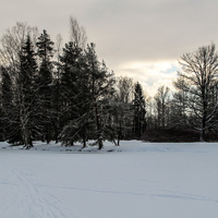 Средний Розовопавильонный пруд
