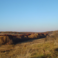 Тростинское поле