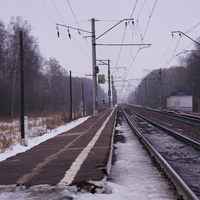 Станция Лютик