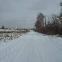 Орёл. по снежной дороге