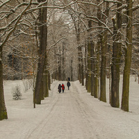 Аллея в парке