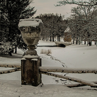 В Павловском парке
