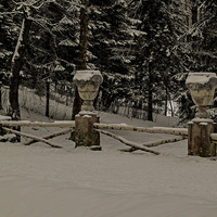 В Павловском парке